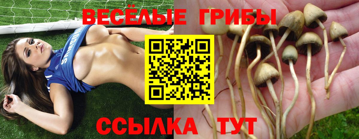 Галлюциногенные грибы мухоморы Калининград